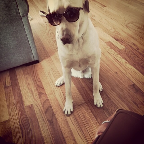 Alex Durant - Poshmark Profile Picture of Alex Durant (@adurant26) on Poshmark