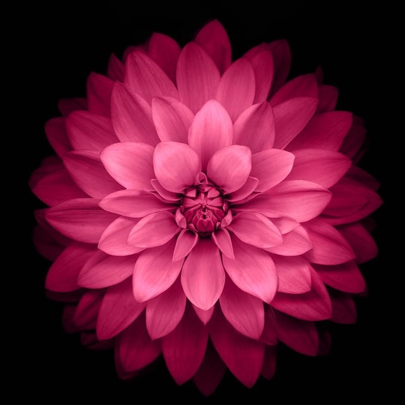 Profile Picture of Fulin Wang (@argetlam2012) on Poshmark