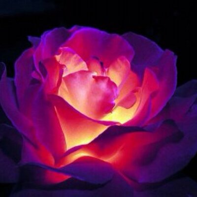 Profile Picture of Yrene Schrils Oleaga (@IreneSchrils) on Twitter
