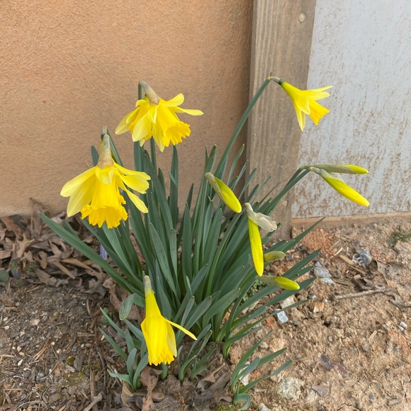 Profile Picture of Carolyn Beardmore (@lifeascarolyn) on Poshmark