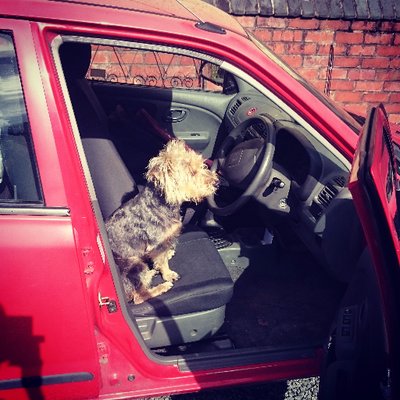 Profile Picture of Ed Roberts (@EdNauseam) on Twitter