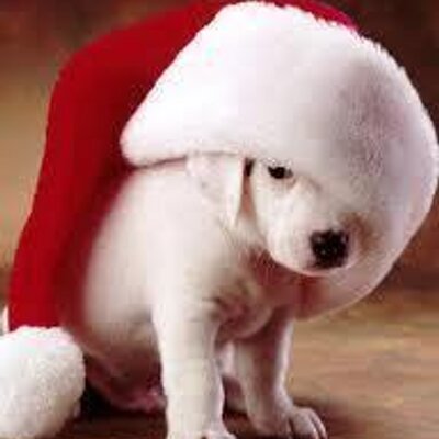 Profile Picture of Michael Needle (@michaelman2468) on Twitter