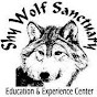 Profile Picture of shywolfsanctuary (@@shywolfsanctuary) on Tiktok