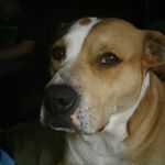 Profile Picture of Dakota hobbs (@hobbs4028) on Instagram