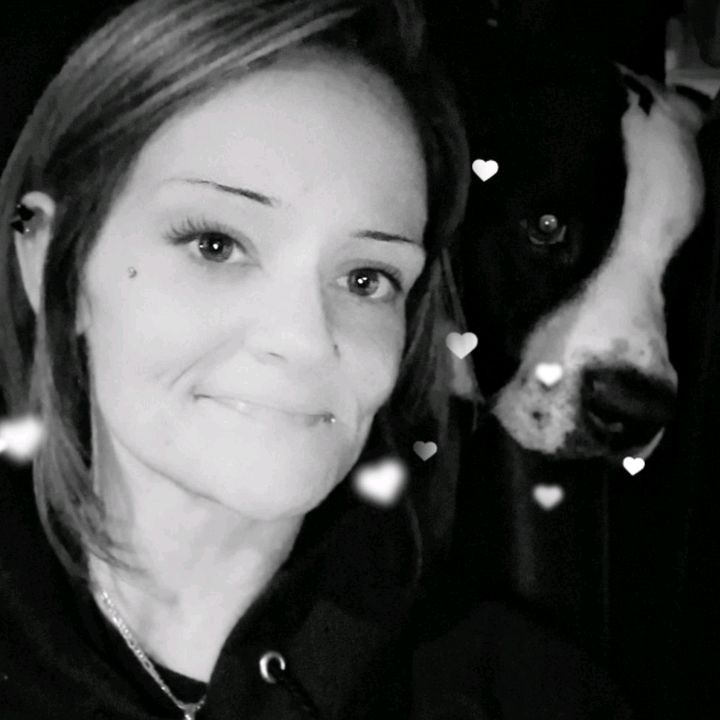 Profile Picture of Whitney Lauren Giles (@@whitneylaurengile) on Tiktok