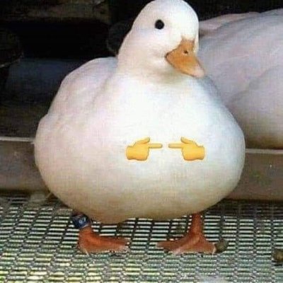 Profile Picture of Laurel Dave (@LaurelDave2) on Twitter