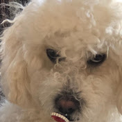 Profile Picture of Thomas Brady (@thomasbrady2063) on Youtube