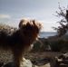 Profile Picture of Kevin Ansley (@kevin.ansley.376) on Facebook