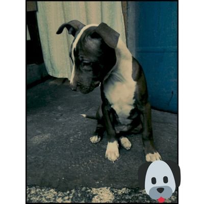 Profile Picture of Fabian Galvan (@fabiangalvan664) on Twitter