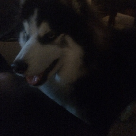 Profile Picture of Carrie Lalley (@carrielalley) on Poshmark