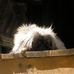 Profile Picture of Jerry Roller (@jerry.roller.96) on Facebook
