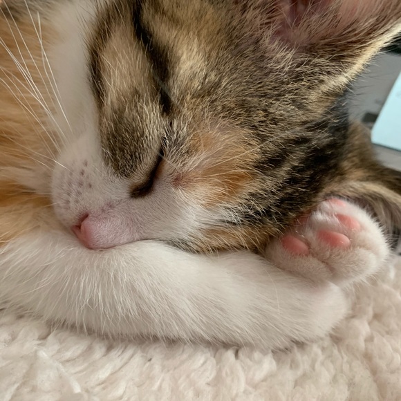 Erin Gabourie - Poshmark Profile Picture of Erin Gabourie (@erinrene14_) on Poshmark