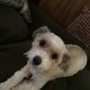 Profile Picture of Rose Jeffries (@rosejeffries1) on Tiktok