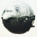 Profile Picture of Marc Wolverton (@marc.wolverton) on Facebook