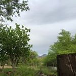 Profile Picture of Rita Anselmo (@rita.anselmo.37) on Instagram