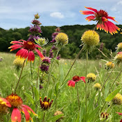 Profile Picture of Peyton Hayslip (@kphhpk) on Youtube