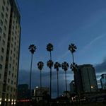 Profile Picture of brett.black_ (@brett.black_) on Instagram