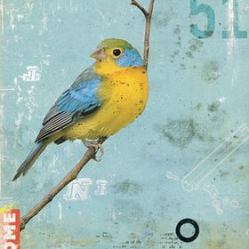 Profile Picture of Connie Simpson (@cccoconut) on Pinterest