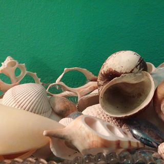 Profile Picture of Sylvia Hornbuckle (@sylvia.hornbuckle.3) on Facebook