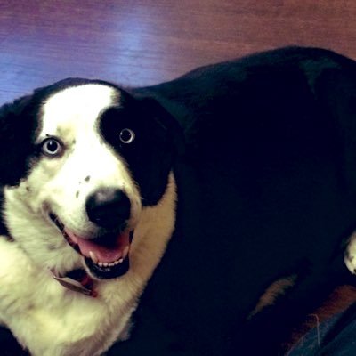 Paula Ridenour - Twitter Profile Picture of Paula Ridenour (@RidenourPaula) on Twitter