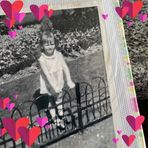 Profile Picture of Sharon Morrissey (@sharon.morrissey.397) on Facebook