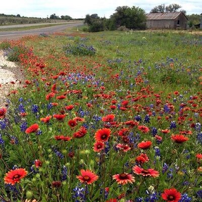 Gay Lynn Smith Cerny - Twitter Profile Picture of Gay Lynn Smith Cerny (@GayCerny) on Twitter