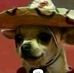 Profile Picture of Sara Dominguez (@sara.dominguez.3511041) on Facebook