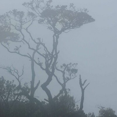 Profile Picture of Al Powell (@sciencewatcher) on Twitter