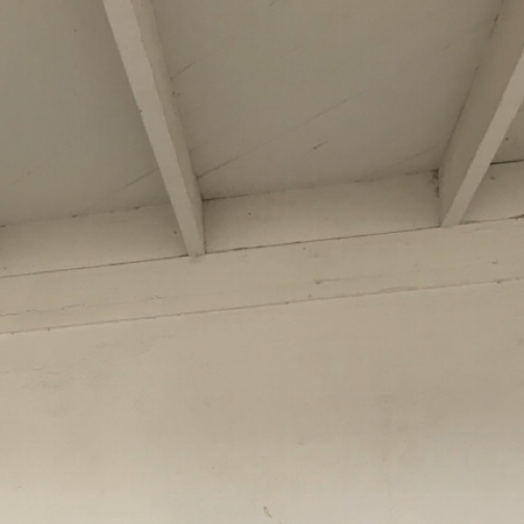 Profile Picture of Adrianna Waters (@oddadrianna) on Poshmark