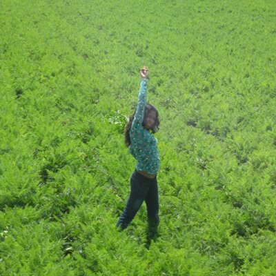 Pamela Brith Valeri - Twitter Profile Picture of Pamela Brith Valeri (@pamelabrith) on Twitter