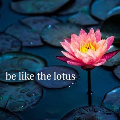 Profile Picture of Nichole Samuel (@NicholeSamuel) on Twitter