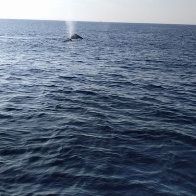 Profile Picture of Michael Breuer (@mbreuer123) on Twitter