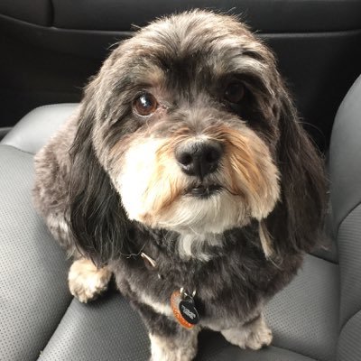 Profile Picture of Toby Tate (@ClydeDupont) on Twitter