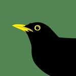 Profile Picture of Patrick Latham (@aleadingedge) on Instagram