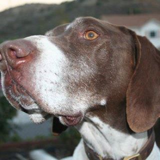 Profile Picture of Jake Preddy (@jake.preddy) on Facebook