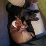 Profile Picture of Floyd Abbott (@floyd.abbott) on Facebook