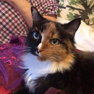 Profile Picture of Lian Daniel (@lian.daniel.31) on Facebook