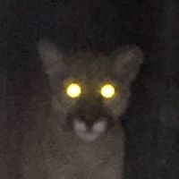 Profile Picture of David Palmini (@david-palmini-1) on Quora