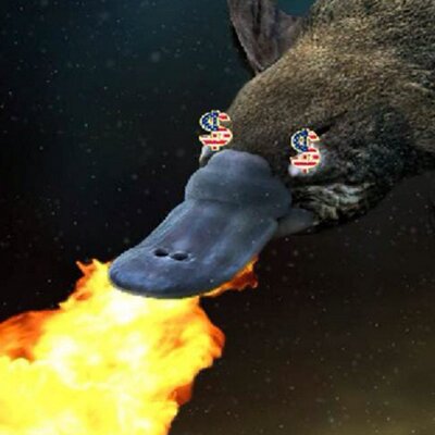 Jim Kole - Twitter Profile Picture of Jim Kole (@jimkole) on Twitter