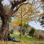 Profile Picture of Richard Ivan (@richard_ivan09) on Instagram