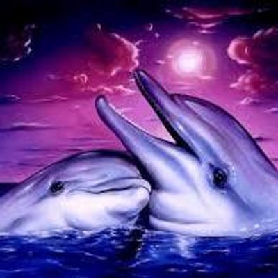 Profile Picture of Thomas Kirchner (@thomas5812) on Twitter