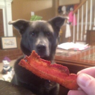 Profile Picture of Son Of Ed (@PorterOaksKyle) on Twitter