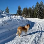 Profile Picture of Edward Schaff (@edward.schaff.2025) on Facebook