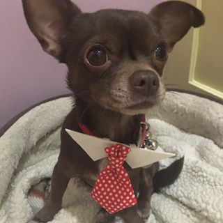 Profile Picture of Michele Cutting (@michele.cutting.96) on Facebook