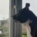 Profile Picture of Paul Newport (Snoopy) (@paul.newport.104) on Facebook