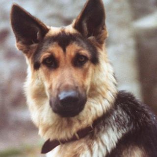 Profile Picture of Winifred BowenJones (@Winifred-Bowen-Jones) on Facebook