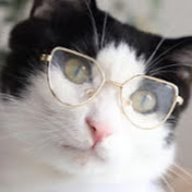 Profile Picture of Hai Zhang (@haizhang3245) on Youtube