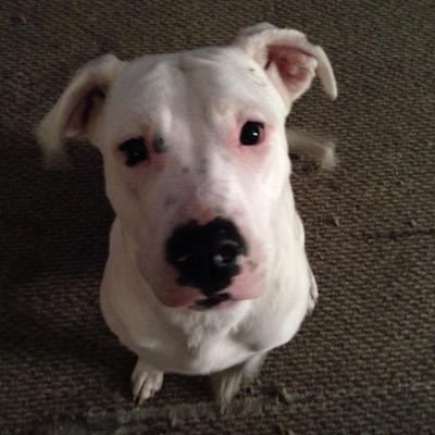 Profile Picture of Michael Hartwiger (@MichaelHartwig6) on Twitter