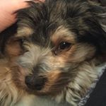 Profile Picture of Benjamin Culp (@thatpeculiar_guy) on Instagram