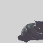 Profile Picture of Kirsty Haines (@kirdykins) on Instagram